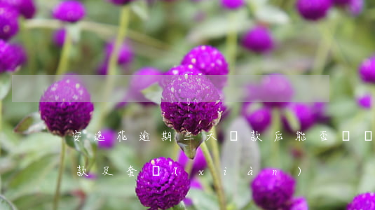 安逸花逾期三天還款后能否繼續(xù)借款及套現(xiàn)?