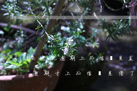 安逸花逾期上征信還是直接上的-安逸花是逾期才上征信還是借了就上征信