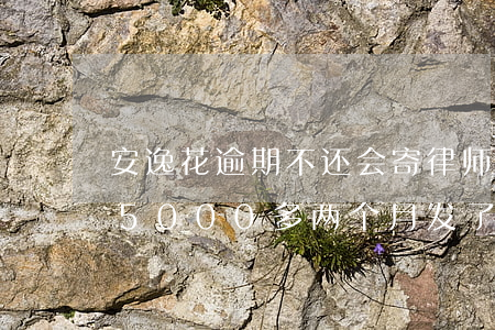 安逸花逾期不还会寄律师函么-安逸花逾期5000多两个月发了短信寄律师函真的会起诉?