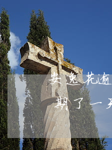 安逸花逾期了一天会有什么后果-安逸花逾期了一天会有什么后果吗