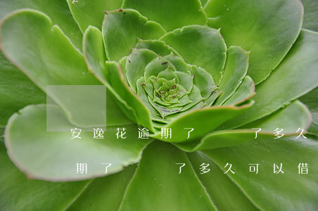 安逸花逾期了凍結了多久可以借-安逸花逾期了凍結了多久可以借出來
