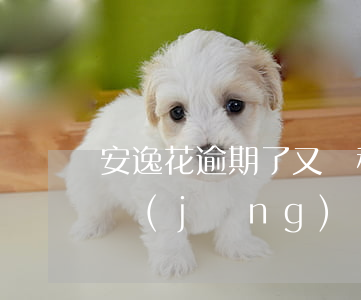 安逸花逾期了又說秒白條(安逸花逾期五天已經(jīng)還了對征信有影響嗎)