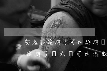 安逸花逾期了可以延期還款嗎-安逸花還款逾期了幾天還可以借出來(lái)嗎