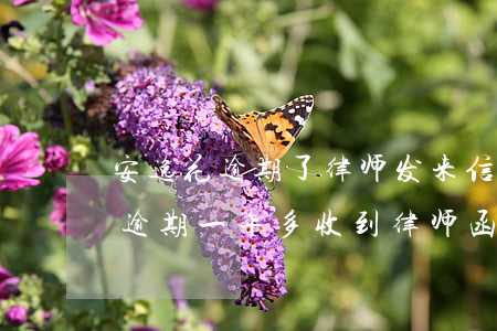 安逸花逾期了律师发来信息有影响吗(安逸花逾期一年多收到律师函会怎样)