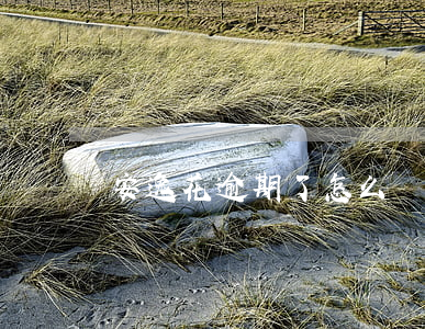 安逸花逾期了怎么辦有什么影響-