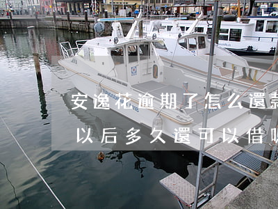 安逸花逾期了怎么還款(安逸花逾期半年還了以后多久還可以借嗎)