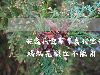 安逸花逾期了支付宝(安逸花逾期的话是不是蚂蚁花呗也不能用了)