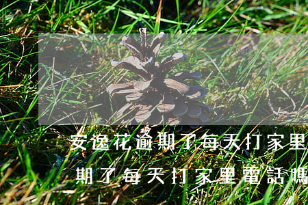 安逸花逾期了每天打家里電話嗎-安逸花逾期了每天打家里電話嗎會(huì)怎么樣