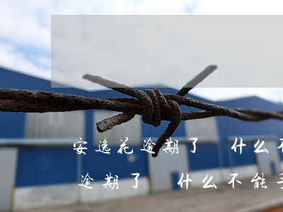 安逸花逾期了為什么不能手動還款-安逸花逾期了為什么不能手動還款了