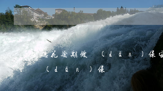 安逸花逾期做擔(dān)保(安逸花逾期做擔(dān)保)