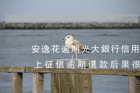 安逸花逾期光大銀行信用卡(安逸花逾期多久上征信 逾期還款后果很嚴重)