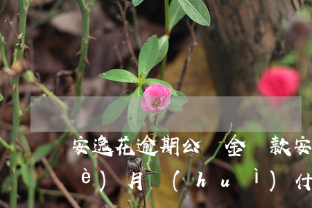 安逸花逾期公積金貸款(安逸花逾期一個(gè)月會(huì)什么時(shí)候才能再借款)