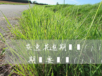 安逸花逾期凍結(jié)支付寶(安逸花逾期說要凍結(jié)微信)
