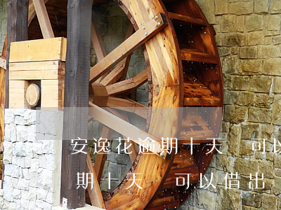 安逸花逾期十天還可以借出來嗎-安逸花逾期十天還可以借出來嗎安全嗎