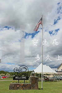 安逸花逾期半個月會上征信嗎-安逸花逾期多久上征信?后果有多嚴重