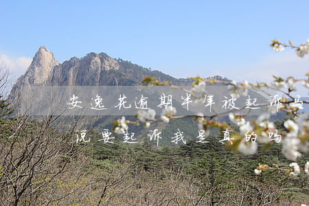 安逸花逾期半年被起诉(马上安逸花逾期一年说要起诉我是真的吗)