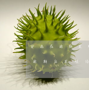 安逸花逾期发短信说上门怎么回复-安逸花逾期后发短信说要上门收是不是真的