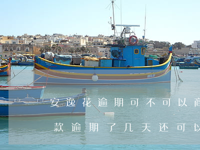 安逸花逾期可不可以商量晚点还-安逸花还款逾期了几天还可以借出来吗
