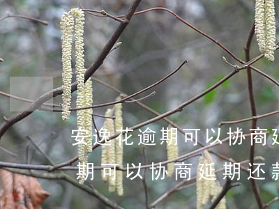 安逸花逾期可以协商延期还款吗-安逸花逾期可以协商延期还款吗是真的吗