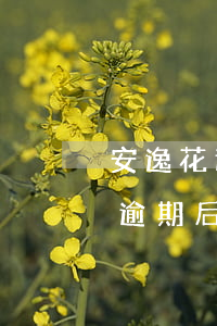 安逸花逾期后有额度为什么不能用-安逸花逾期后有额度为什么不能用了