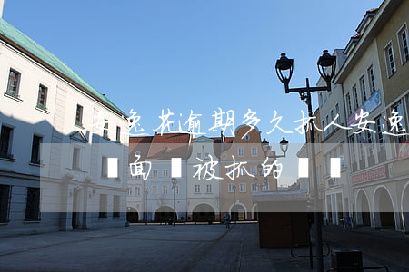 安逸花逾期多久抓人，安逸花逾期未還款，可能會面臨被抓的風險！