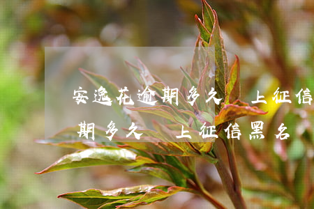 安逸花逾期多久會上征信黑名單-安逸花逾期多久會上征信黑名單后果有多嚴(yán)重?