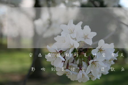 安逸花逾期对支付宝有关系吗-安逸花逾期影响到支付宝、还款后该怎么办