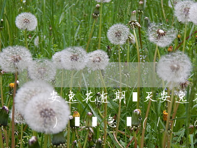 安逸花逾期幾天(安逸花逾期幾天會(huì)給緊急聯(lián)系人打電話)