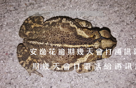 安逸花逾期幾天會打通訊錄電話-安逸花逾期幾天會打電話給通訊錄的人啊