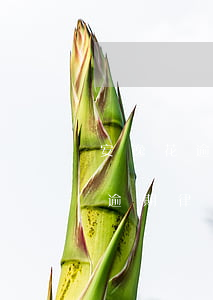 安逸花逾期律师函会寄到家里去吗-安逸花逾期律师函会寄到家里去吗是真的吗
