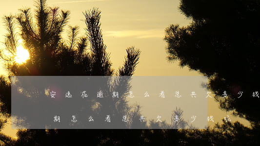 安逸花逾期怎么看总共欠多少钱-安逸花逾期怎么看总共欠多少钱呢