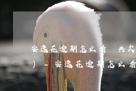 安逸花逾期怎么看總共欠多少錢(qián)-安逸花逾期怎么看總共欠多少錢(qián)呢