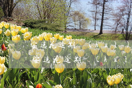 安逸花逾期會(huì)發(fā)律師函(安逸花逾期會(huì)被起訴嗎?真還不上怎么辦)