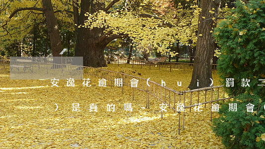 安逸花逾期會(huì)罰款二萬(wàn)是真的嗎-安逸花逾期會(huì)罰款二萬(wàn)是真的嗎知乎
