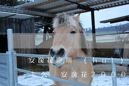 安逸花逾期會(huì)被起訴嗎?真還不上怎么辦（安逸花2000逾期會(huì)被起訴嗎）
