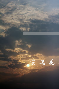 安逸花逾期會找律師嗎