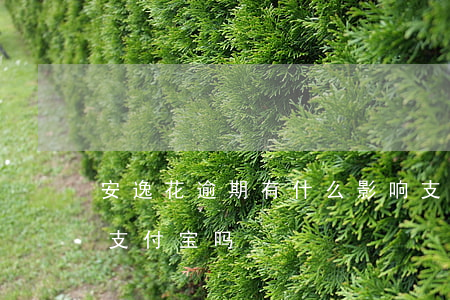 安逸花逾期有什么影响支付宝 安逸花会影响支付宝吗
