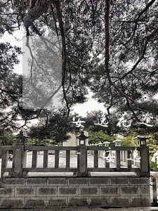安逸花逾期無力償還債務(wù)解決方案-安逸花逾期怎么還不了款了?怎么回事