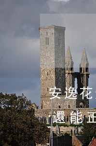 安逸花逾期無法還款(安逸花逾期3天還款后還能正常借款嗎)
