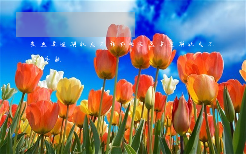 安逸花逾期状态不能贷款(安逸花逾期状态不能贷款)