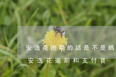 安逸花逾期的話是不是螞蟻花唄也不能用了（安逸花逾期和支付寶）