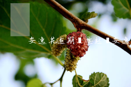 安逸花逾期說要起訴 安逸花起訴嗎