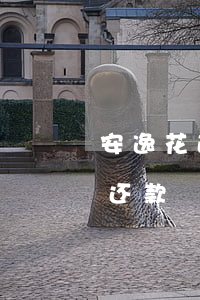 安逸花逾期还款无法协商(安逸花延期一个月还款)