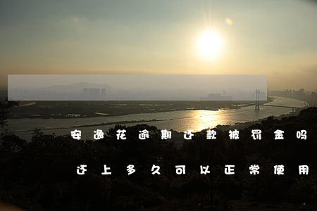 安逸花逾期还款被罚金吗(安逸花逾期之后钱还上多久可以正常使用)