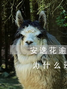 安逸花逾期还款还可以(安逸花的钱已经还了,为什么还显示逾期)