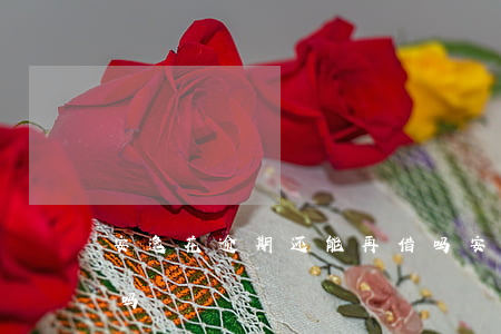 安逸花逾期还能再借吗(安逸花现在还能借款吗)