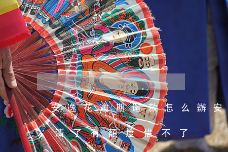 安逸花逾期還款怎么辦(安逸花逾期過,現在還清了,有額度借不了)