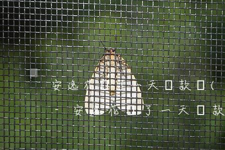 安逸花遲了一天還款會(huì)上征信嗎-安逸花遲了一天還款會(huì)上征信嗎