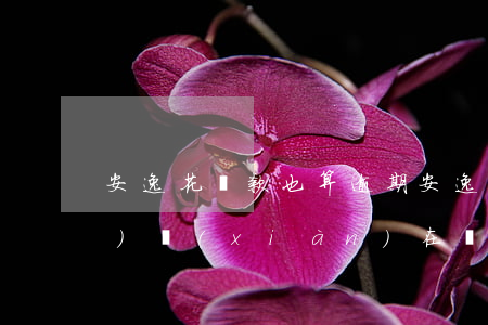 安逸花還款也算逾期(安逸花逾期過(guò),現(xiàn)在還清了,有額度借不了)