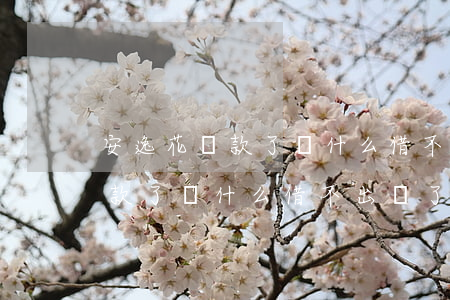 安逸花還款了為什么借不出來了-安逸花還款了為什么借不出來了呢